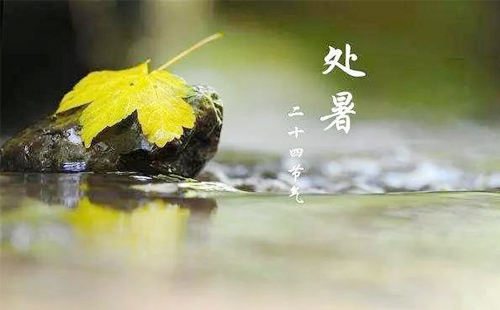 鑫河邦建材-——-处暑时节，筑梦未来.jpg