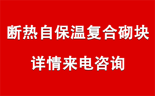 断热自保温复合砌块